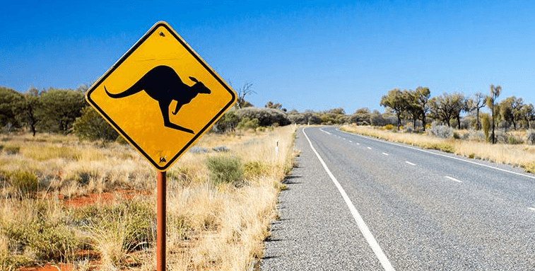 Netcorp's Road Safety Week Commitment